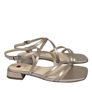 HOGL [105931] премиум класса в бутиках Monte Rosso