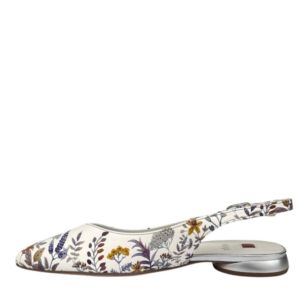 HOGL [110701] премиум класса в бутиках Monte Rosso