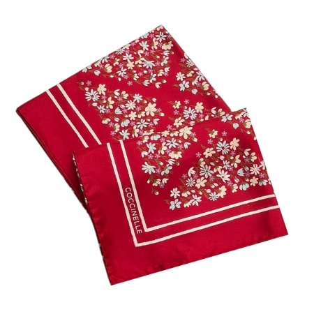 COCCINELLE [110973] премиум класса в бутиках Monte Rosso