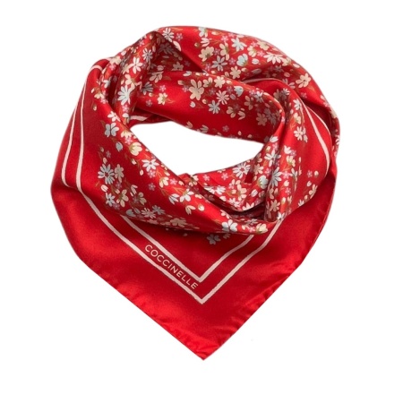 COCCINELLE [110973] премиум класса в бутиках Monte Rosso